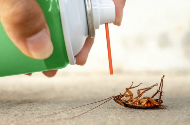 Household Insecticides Market