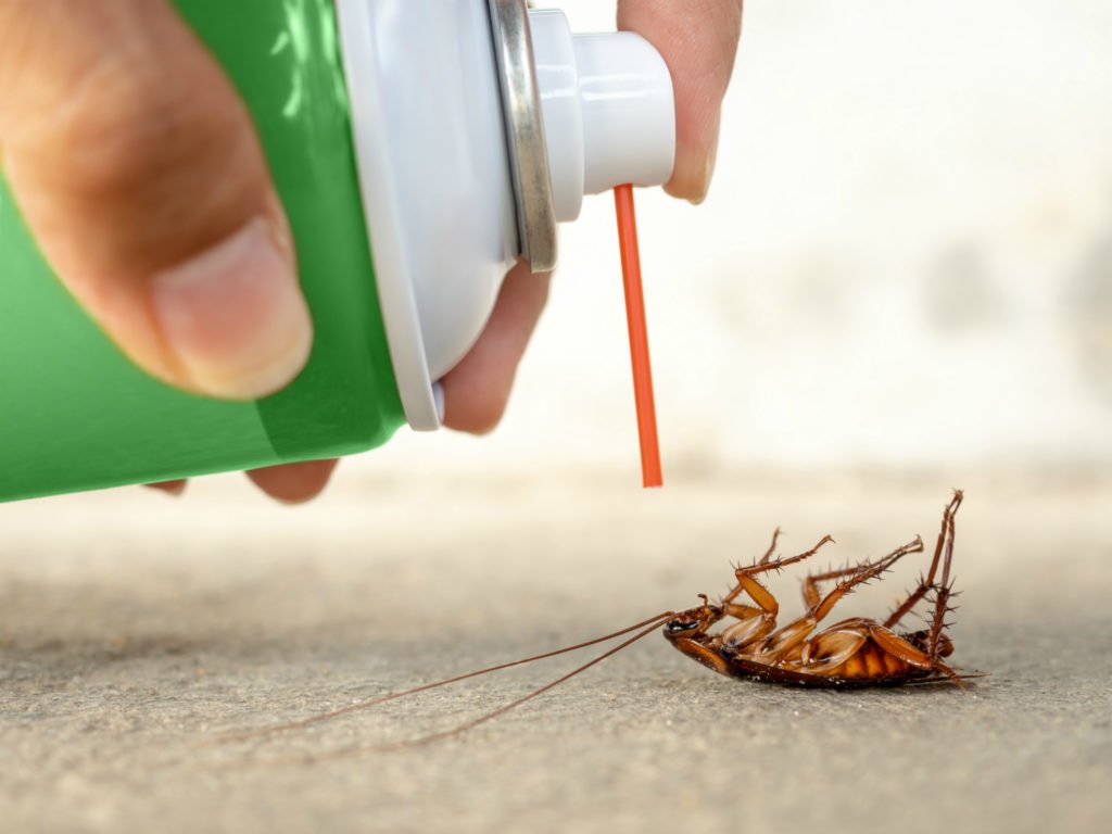 Household Insecticides Market