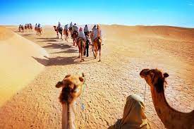 Why We Should Opt for Rajasthan Tour Packages?