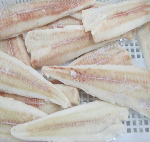 wholesale frozen fish