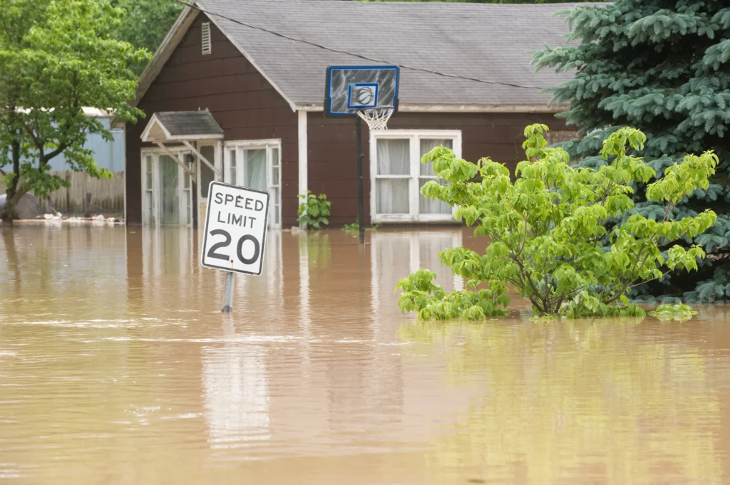 flood damage contractors Scottsdale AZ