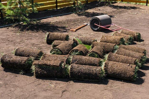 sod installation Carmel IN