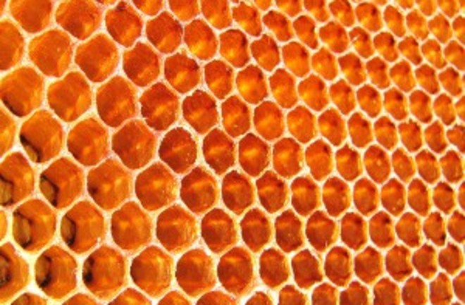 honeycomb