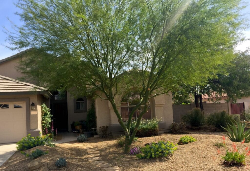 landscaper Henderson NV