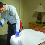 bed bug removal service Springfield MO