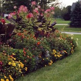 landscaper Carmel IN