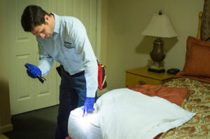 bed bug exterminator Colorado Springs