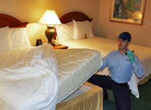 bed bug fumigation Springfield MO