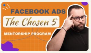 facebook ads consultant