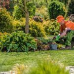 landscaping maintenance Carmel IN