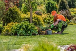 landscaping maintenance Carmel IN