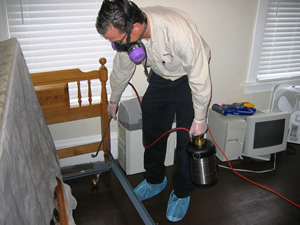 bed bug exterminator Colorado Springs