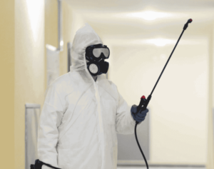 termite control Colorado Springs