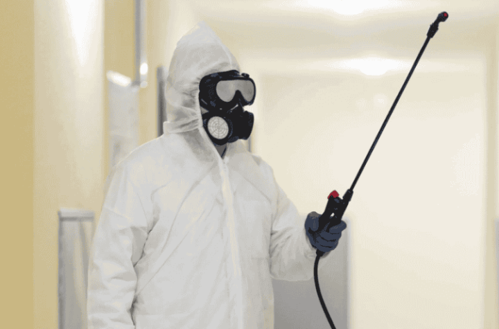 termite control Colorado Springs