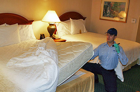 bed bugs removal service Springfield MO