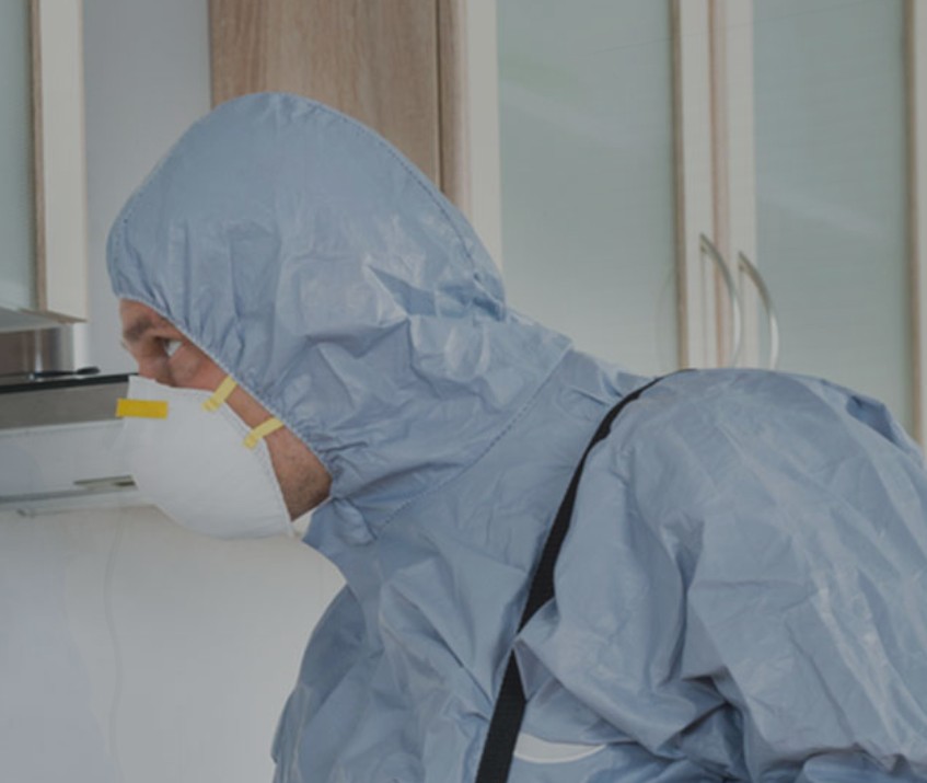 Home Maintenance & Pest Control