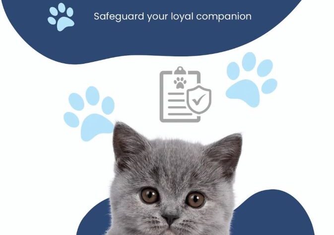 fire insurance danbury ct