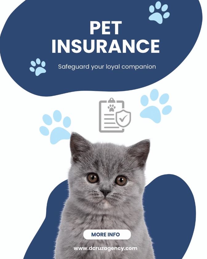 fire insurance danbury ct